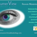 www.consumerViewmarketing.com